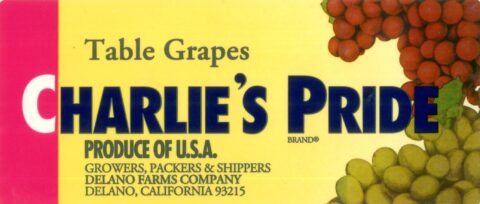 Charlie s Pride